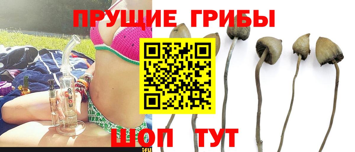 Галлюциногенные грибы MAGIC MUSHROOMS Минусинск